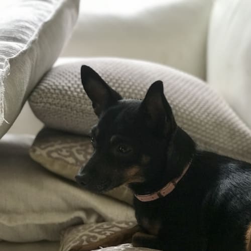 Ruby