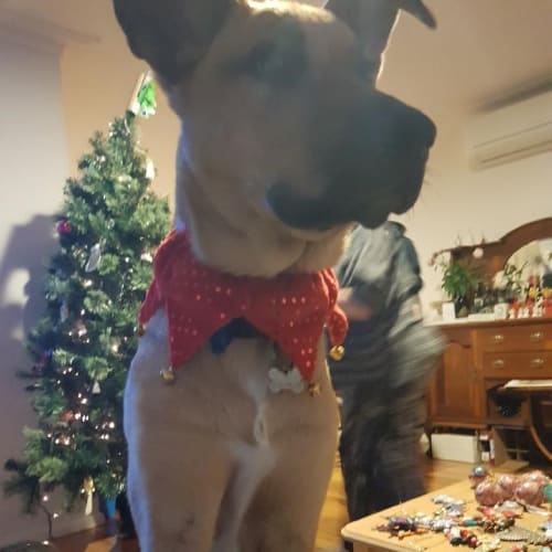 Chester