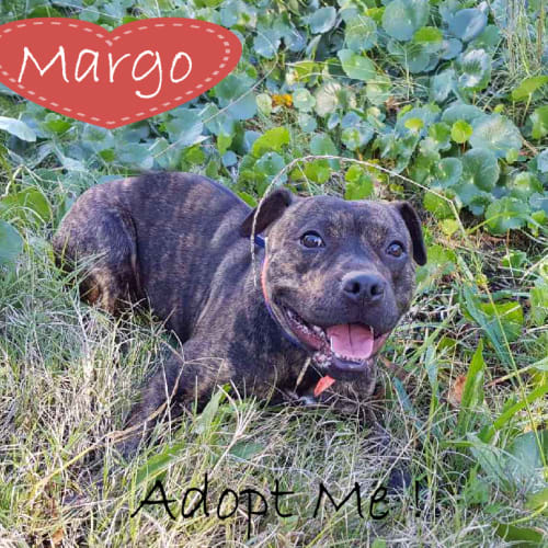 Margo