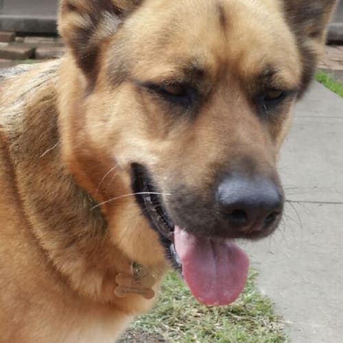 Coco