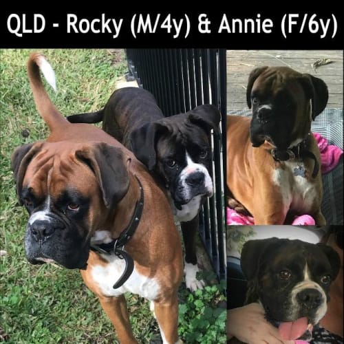 Rocky & Annie