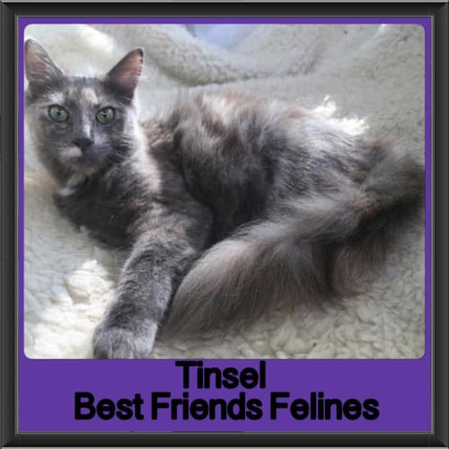 Tinsel