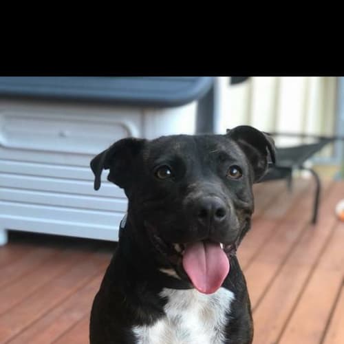 Murphy