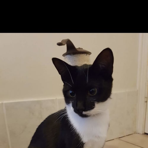 Zira
