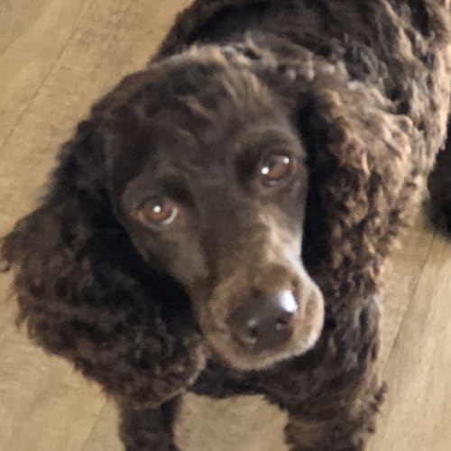 Tina