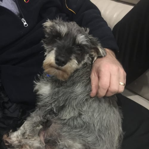 Milo