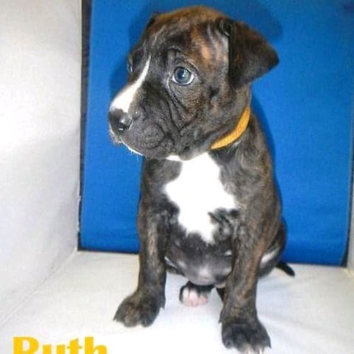 Ruth