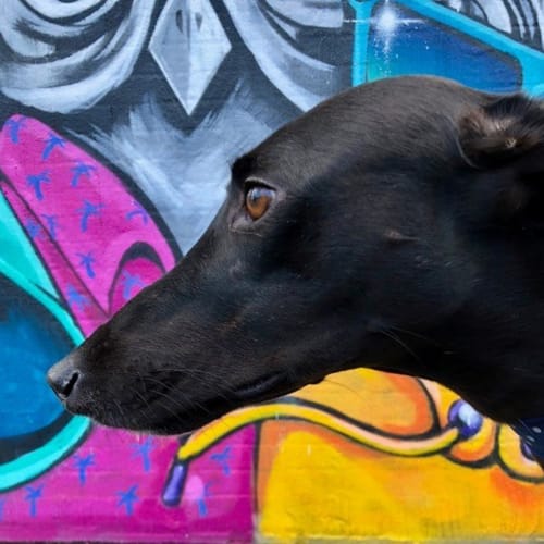 "Esky", Totally Chilled. Melbourne