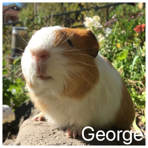 George 