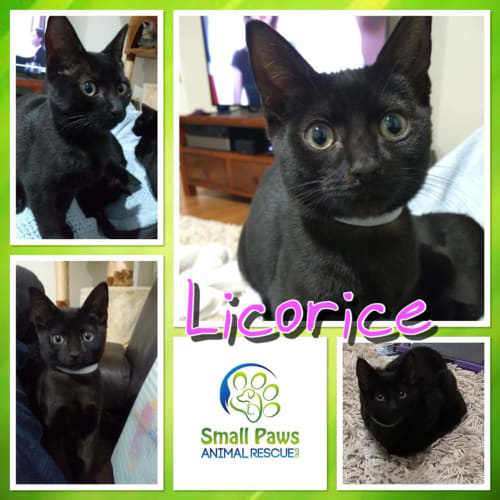 Licorice