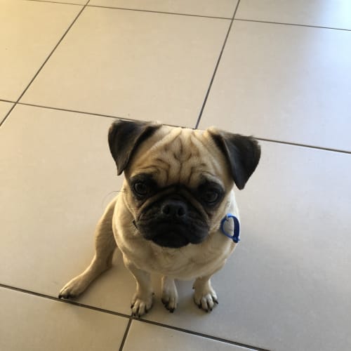 Tiny