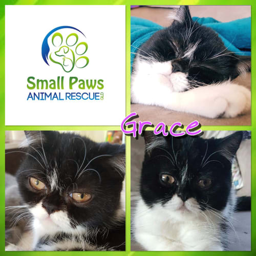 Grace
