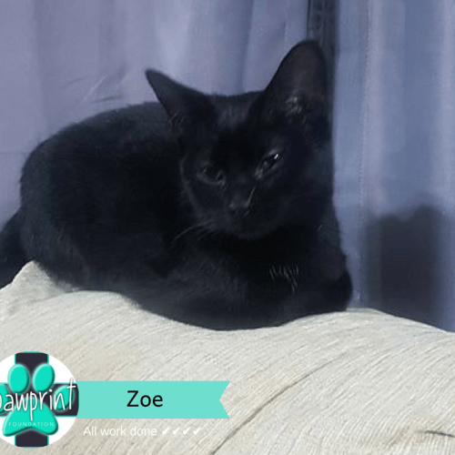 Zoe