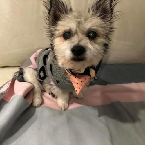 Milly Lilly