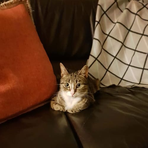 Millie