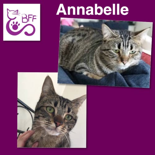 Annabelle