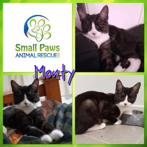 Monty