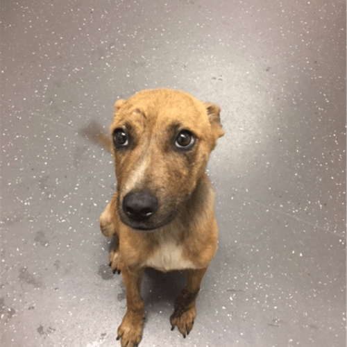 Fiona