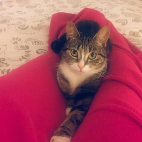 Millie
