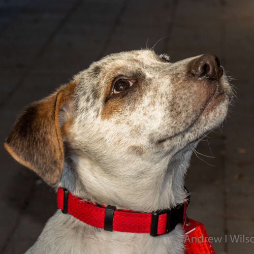 **On Trial** Bristol