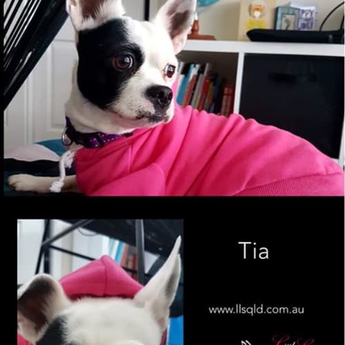 Tia