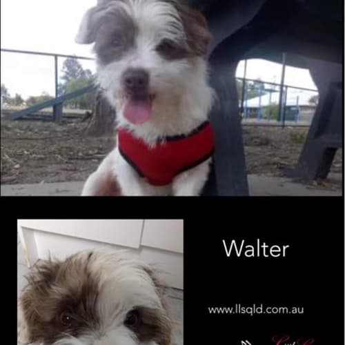 Walter