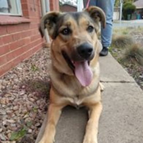 Narla