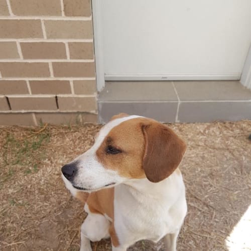 Cooper a smart and funny boy 