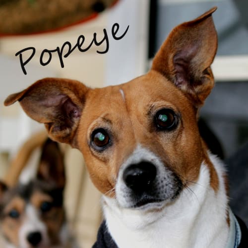 Popeye