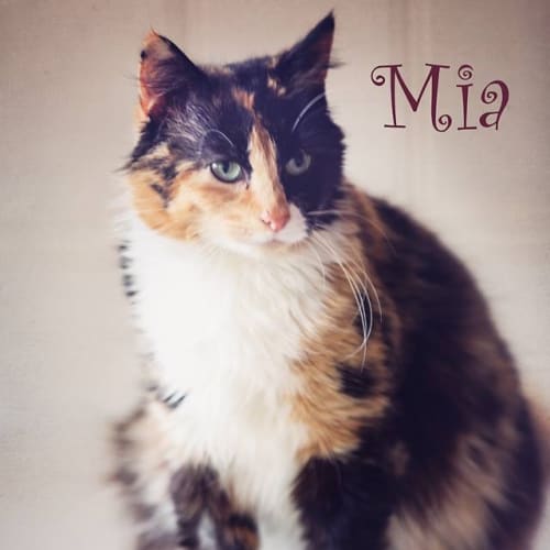 Mia