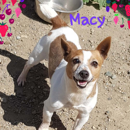 Macy (090918)