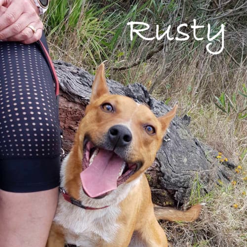 Rusty