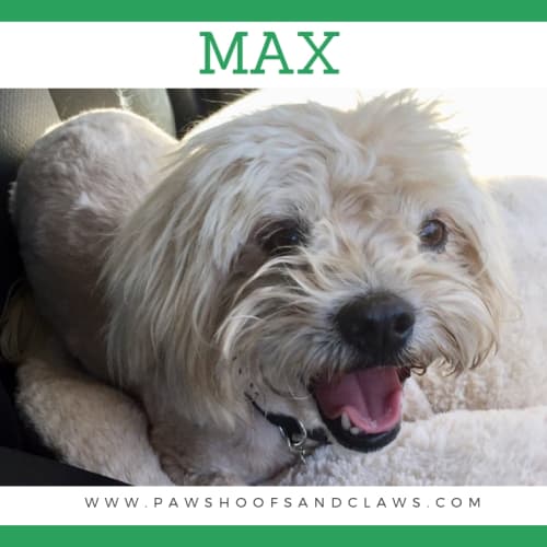Max 