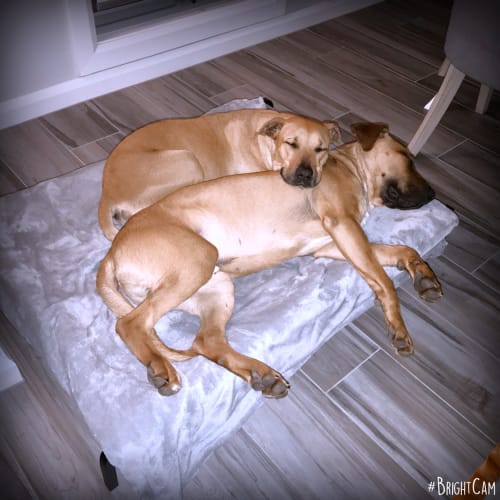 Freddy & Wilma ** Special Is An Understatement **