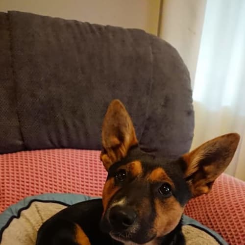 Zoe