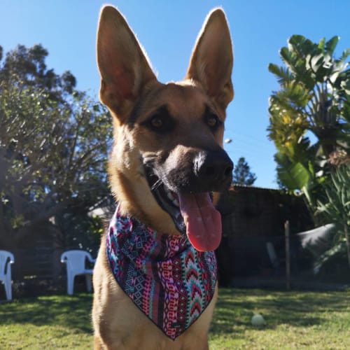 Yuki - Meet and Greet organised