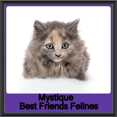 Mystique 