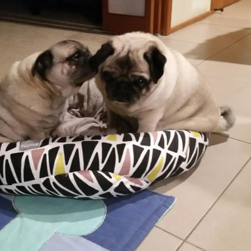 Oscar and Daisy
