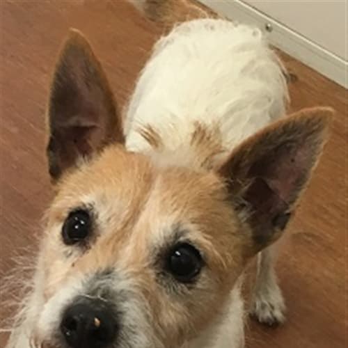 Sam