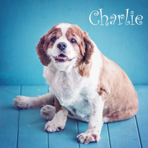 Charlie