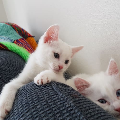 Bonnie and Venus