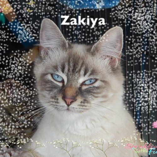 Zakiya