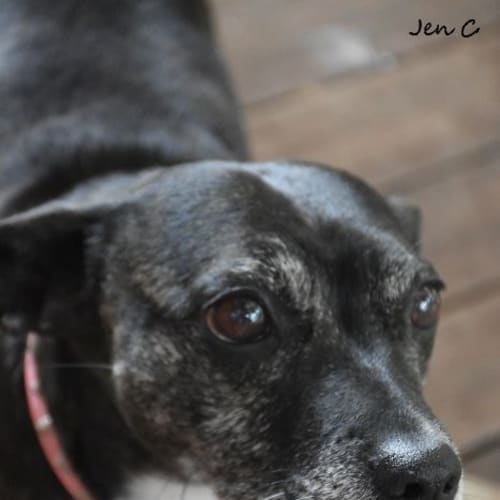 Jessie ** A Beautiful Senior Girl **