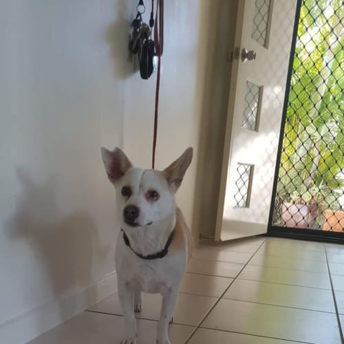 No photo for Benji 
