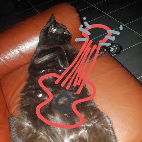 T'challa