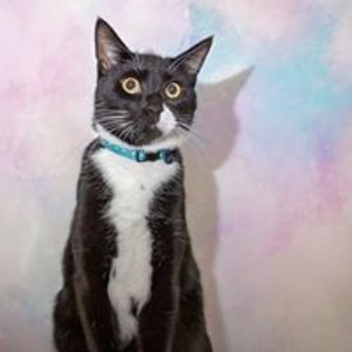 James Bond