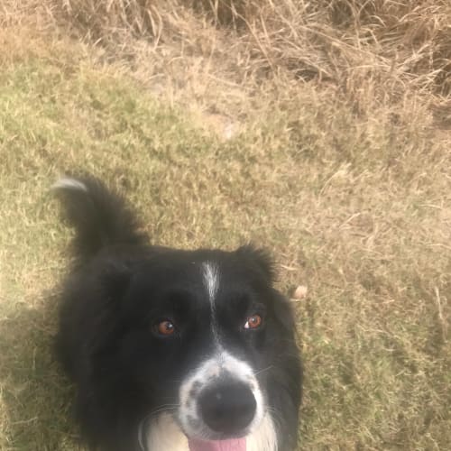 Jax 