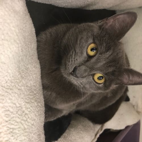 Tina