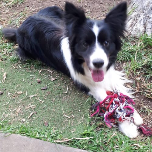 Yatou     *On trial*