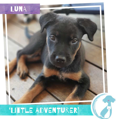 Luna